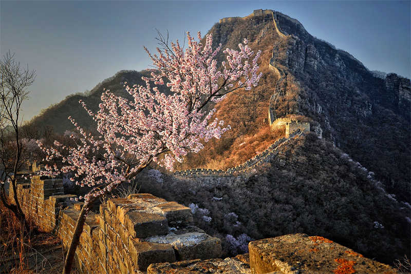 掷地有声+成都管理处+吴云