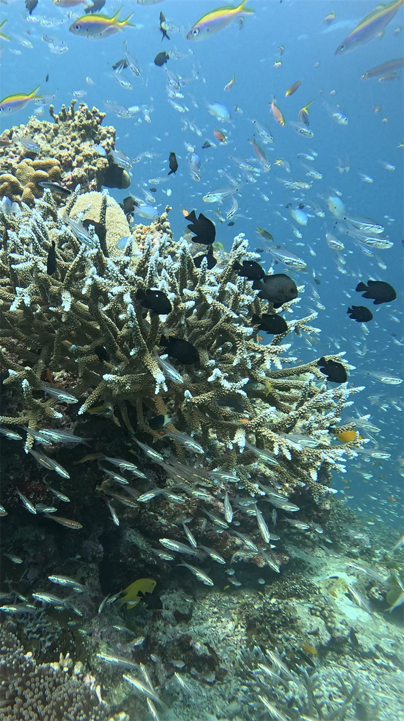 海底世界+四川成渝高速公路股份有限公司成渝分公司资阳管理处+邓刚