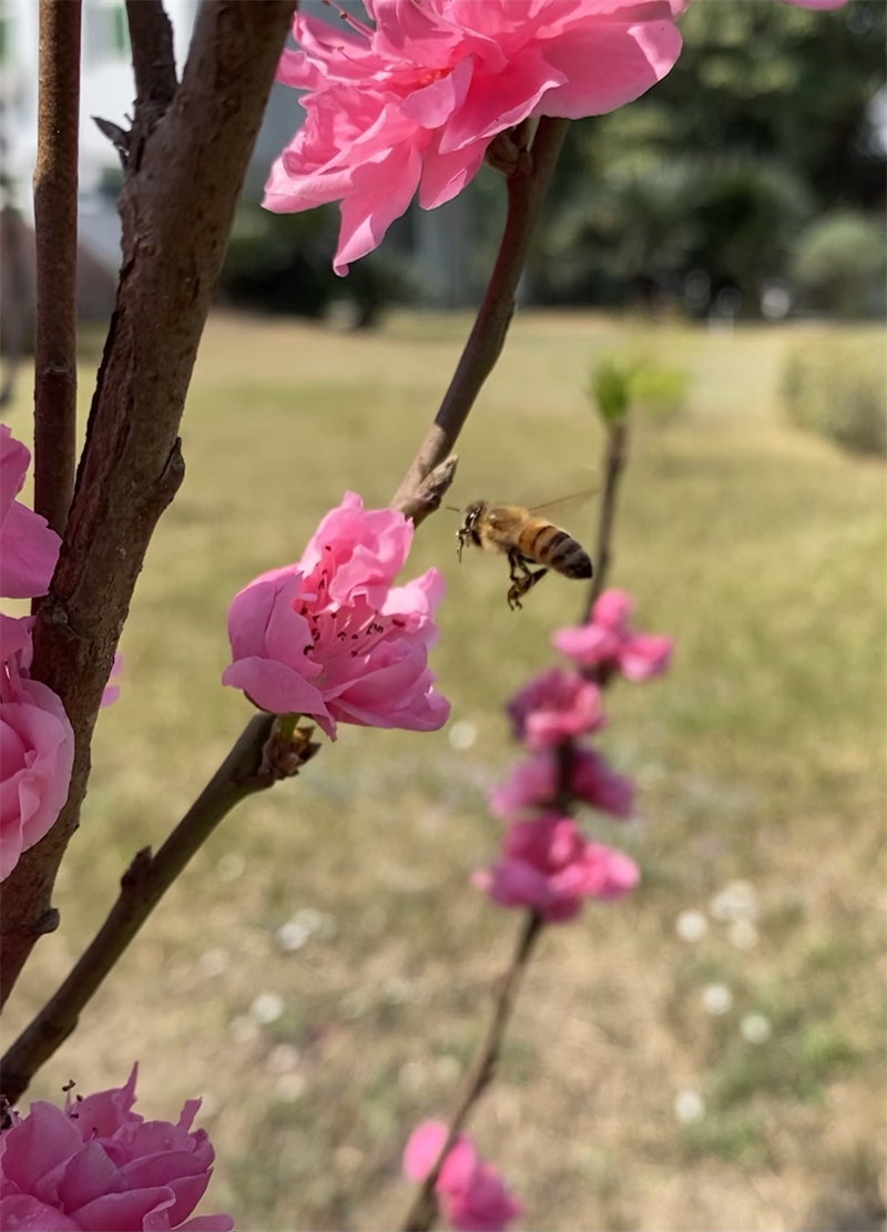 勤劳+四川成渝高速公路股份有限公司成渝分公司资阳管理处+李林