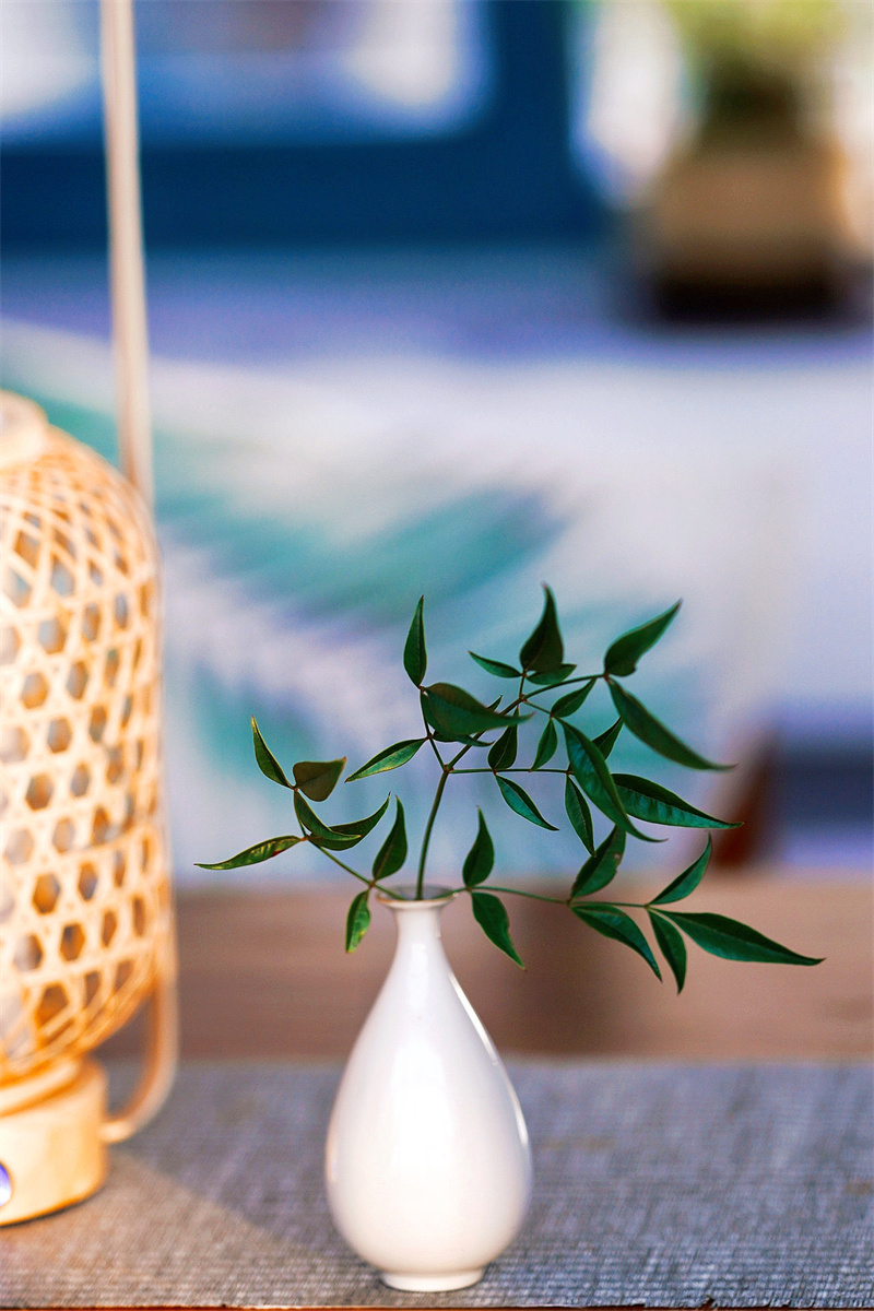 禅意+成都管理处+吴云