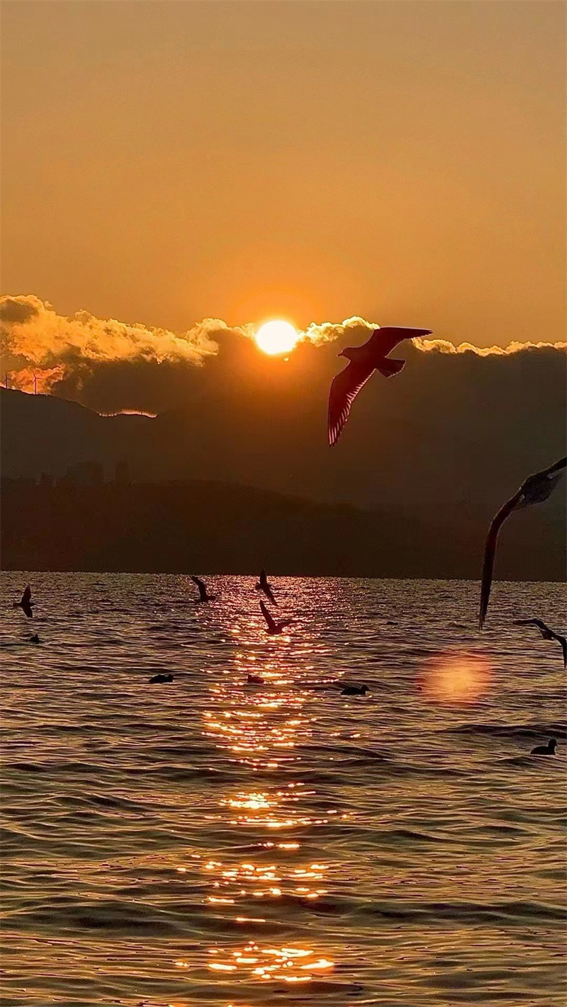 海鸥逐日+四川成渝高速公路股份有限公司成渝分公司资阳管处+曾茜