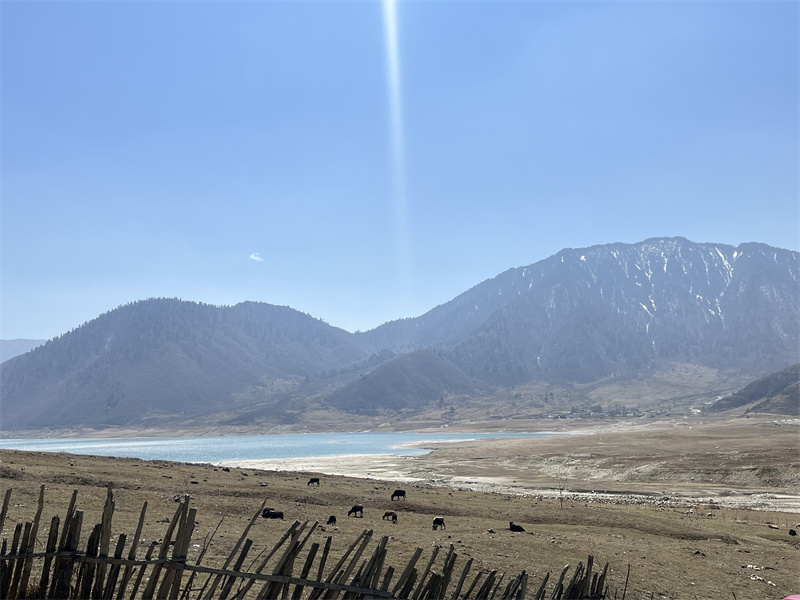 冶勒湖+四川成渝高速公路股份有限公司成渝分公司资阳管理处+刘丹妮