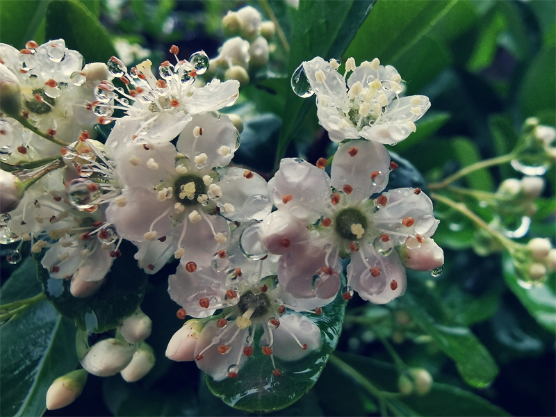 洗礼+四川成渝高速公路股份有限公司成渝分公司资阳管理处+邹丽