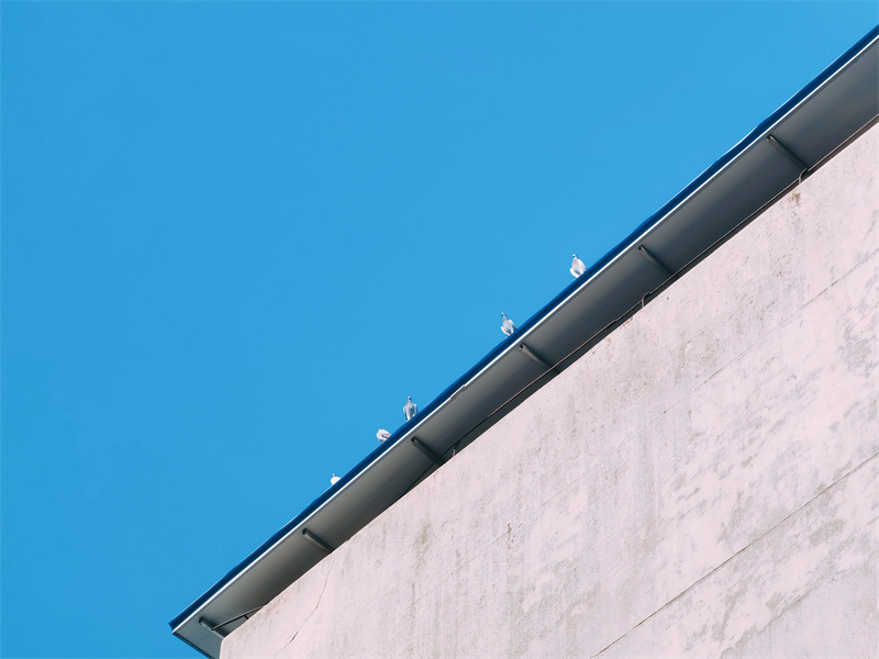 外面的世界+四川成渝高速公路股份有限公司成渝分公司资阳管理处+贺晓