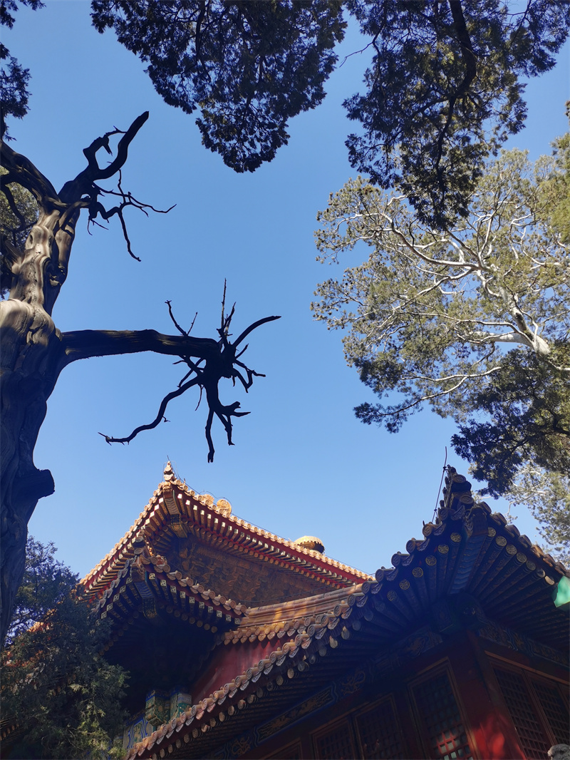 生长——四川成渝高速公路股份有限公司成渝分公司 马翎