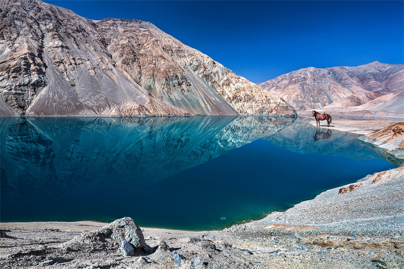 班迪尔蓝+成渝分成都处+李敏