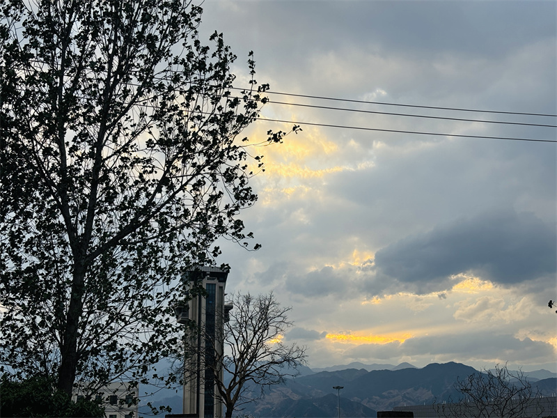 落日余晖+成都管理处+杨梦婷