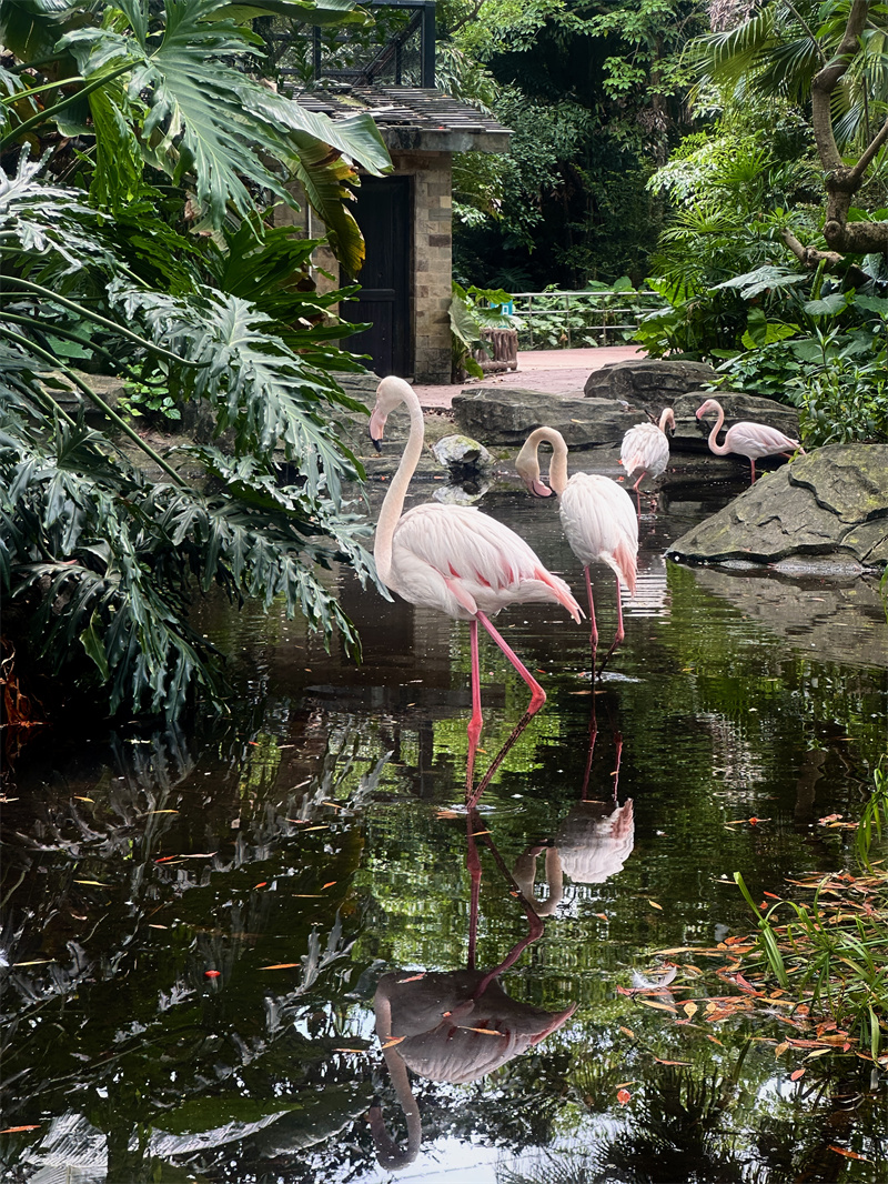 红鹮+四川成渝高速公路股份有限公司成渝分公司资阳管理处+刘小凤