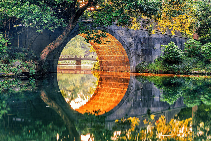 真假倒影+成都管理处+冯朝里