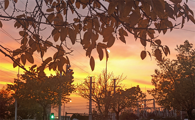 夕阳似火+四川成渝高速公路股份有限公司成渝分公司资阳管理处+向静