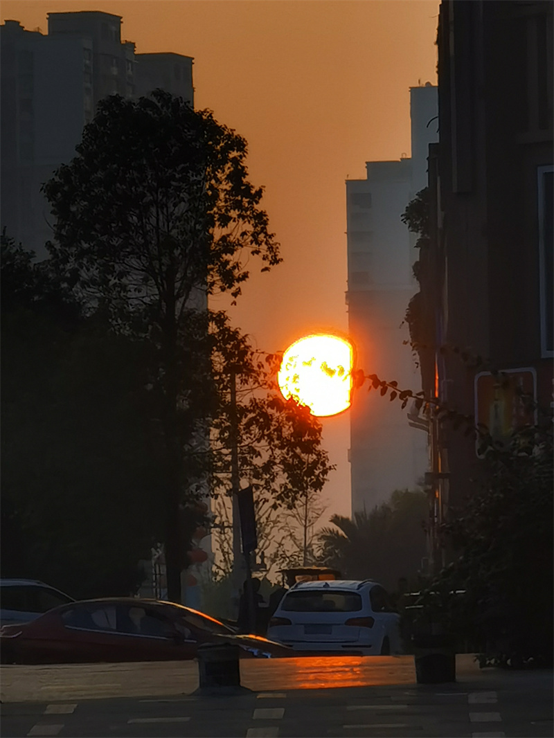 日出东方+四川成渝高速公路股份有限公司成渝分公司资阳管理处+魏丽娟