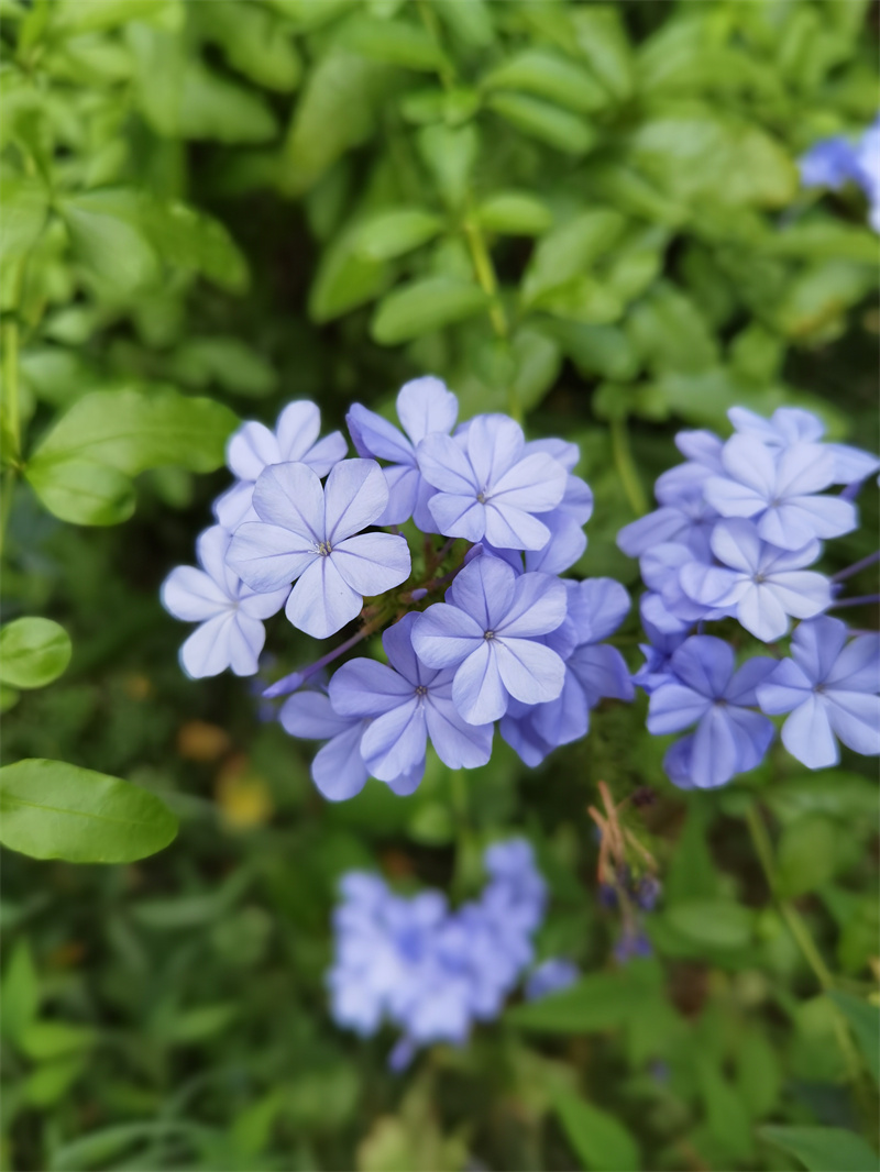 盛夏光年+四川成渝高速公路股份有限公司成渝分公司资阳管理处+邹丽