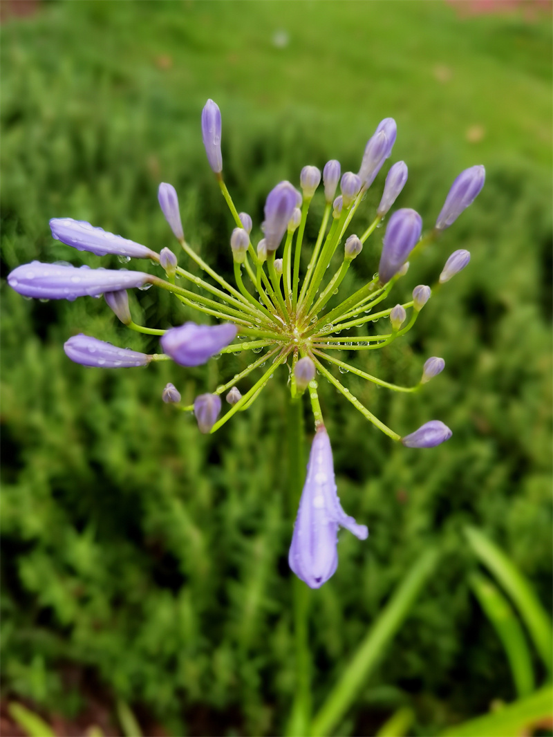 夏雨+四川成渝高速公路股份有限公司成渝分公司资阳管理处+邹丽