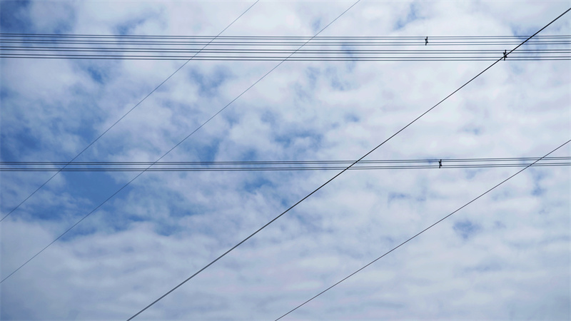 纵横交错+四川成渝高速公路股份有限公司成渝分公司资阳管理处+王燕