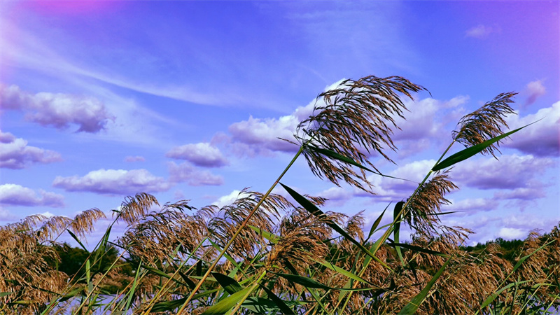 动——四川成渝高速公路股份有限公司成渝分公司童静