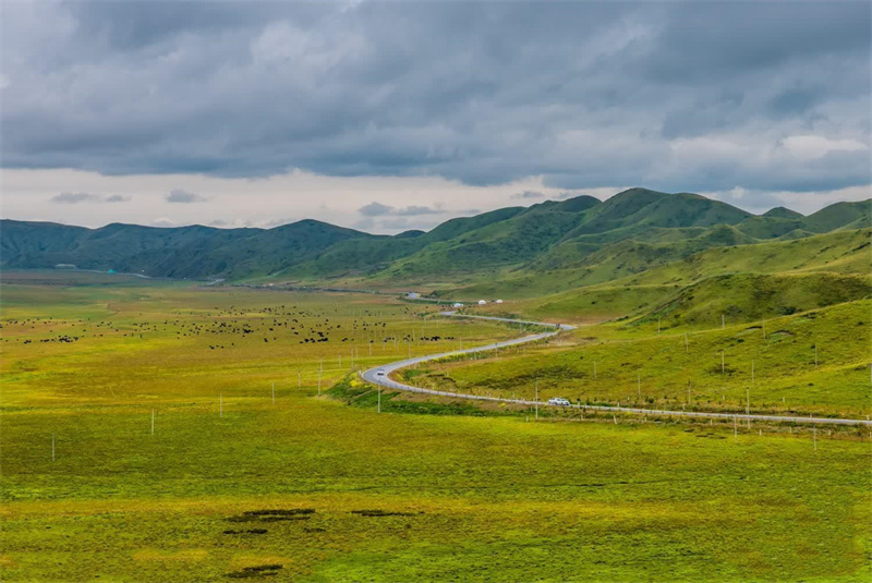 草原之路+成都管理处+吴先菊