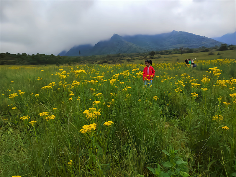 花丛中的小女孩——四川成渝高速公路股份有限公司成渝分公司童静