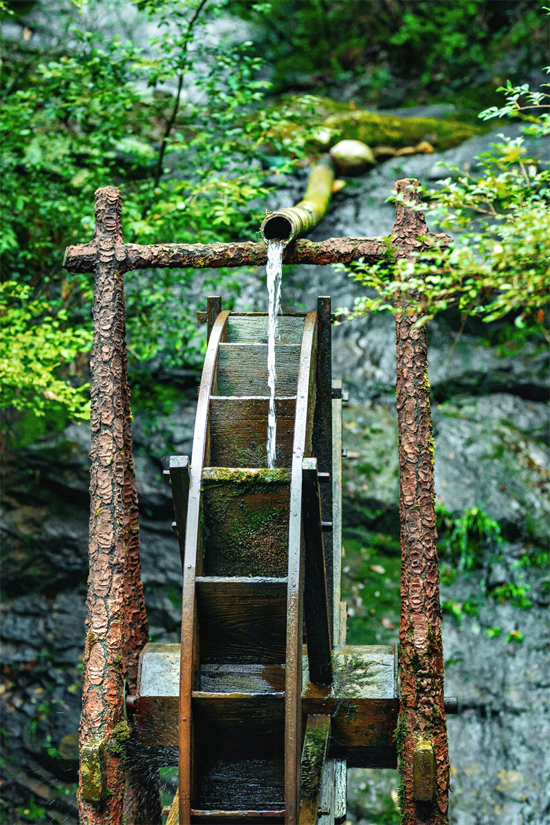 潺潺溪流+成都管理处+李洪琼