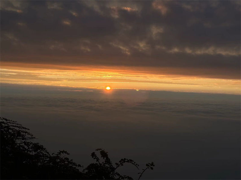 光芒和煦+四川成渝高速公路股份有限公司成渝分公司资阳管理处+孙勤